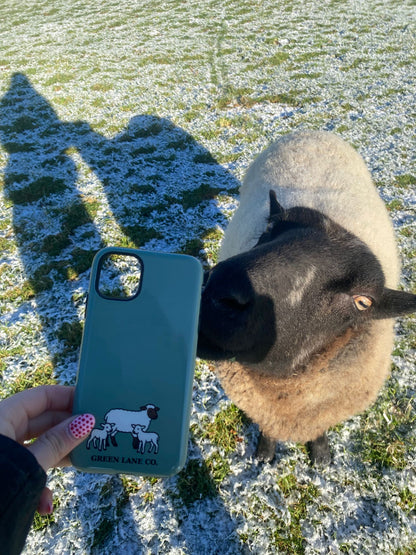 Sheep and Lambs iPhone case